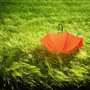 Preview wallpaper umbrella, grass, field, wind, bad weather