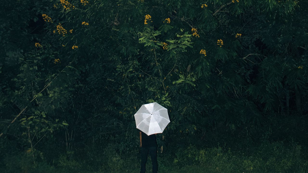 Wallpaper umbrella, grass, man, flowers, loneliness