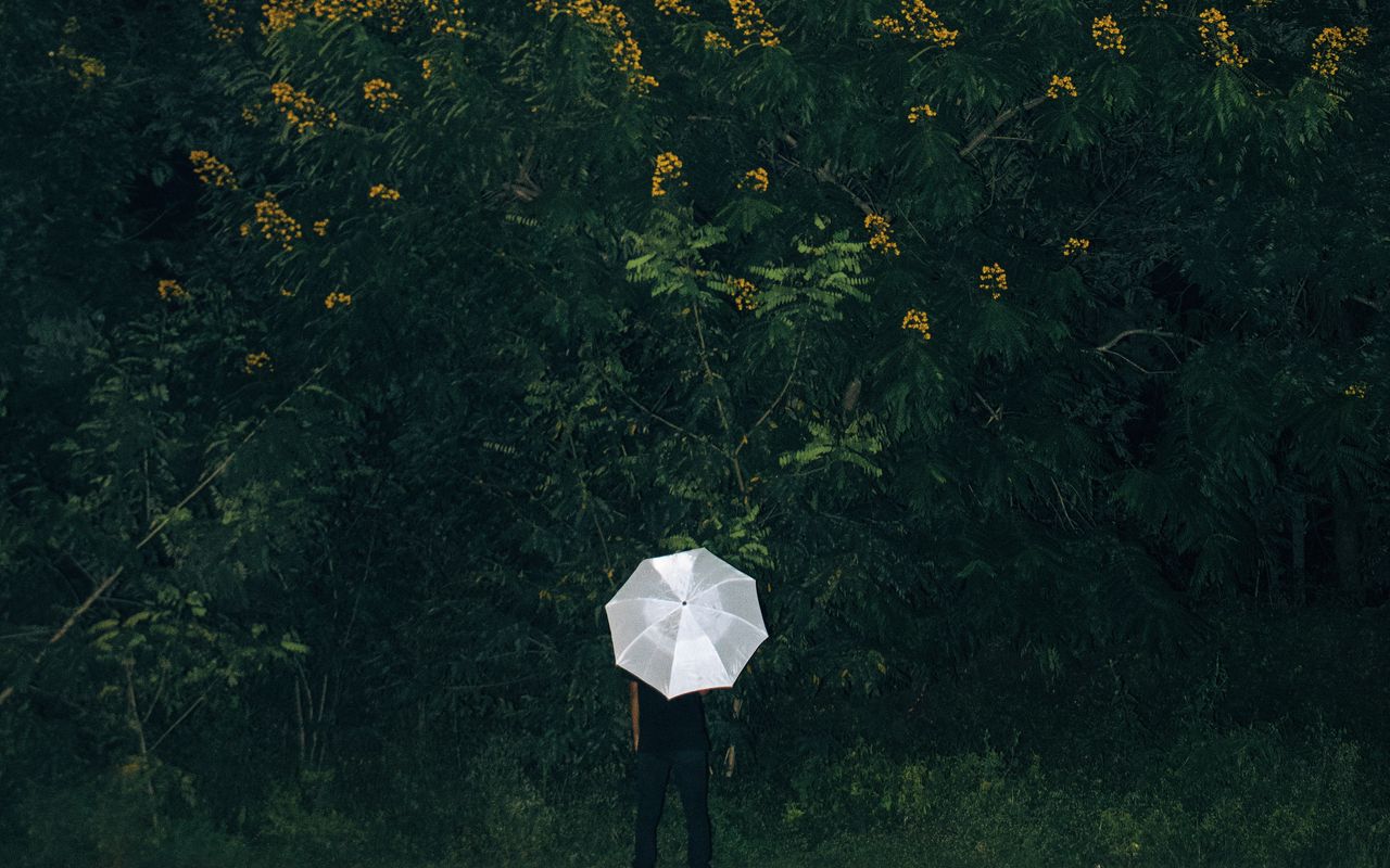 1280x800 Wallpaper umbrella, grass, man, flowers, loneliness