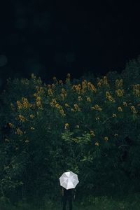 Preview wallpaper umbrella, grass, man, flowers, loneliness