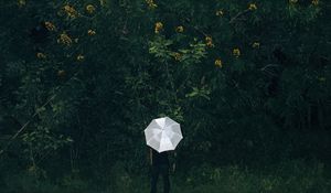 Preview wallpaper umbrella, grass, man, flowers, loneliness