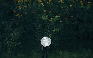Preview wallpaper umbrella, grass, man, flowers, loneliness