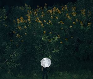 Preview wallpaper umbrella, grass, man, flowers, loneliness