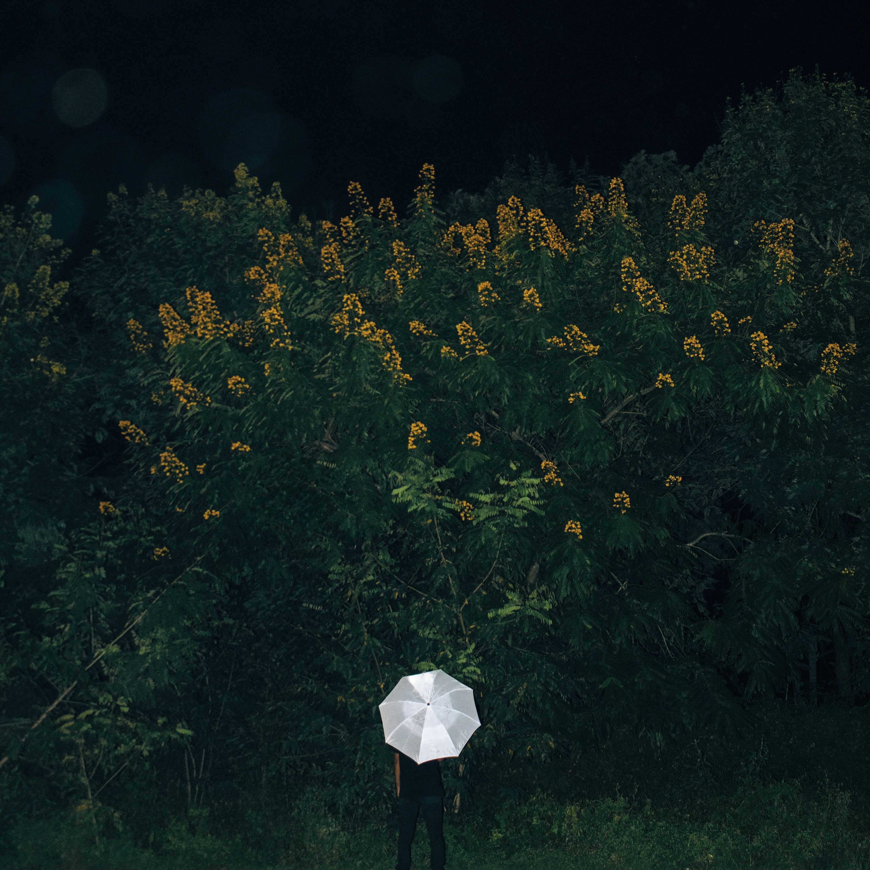 3415x3415 Wallpaper umbrella, grass, man, flowers, loneliness
