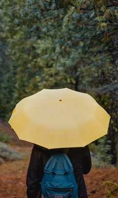 240x400 Wallpaper umbrella, person, walk