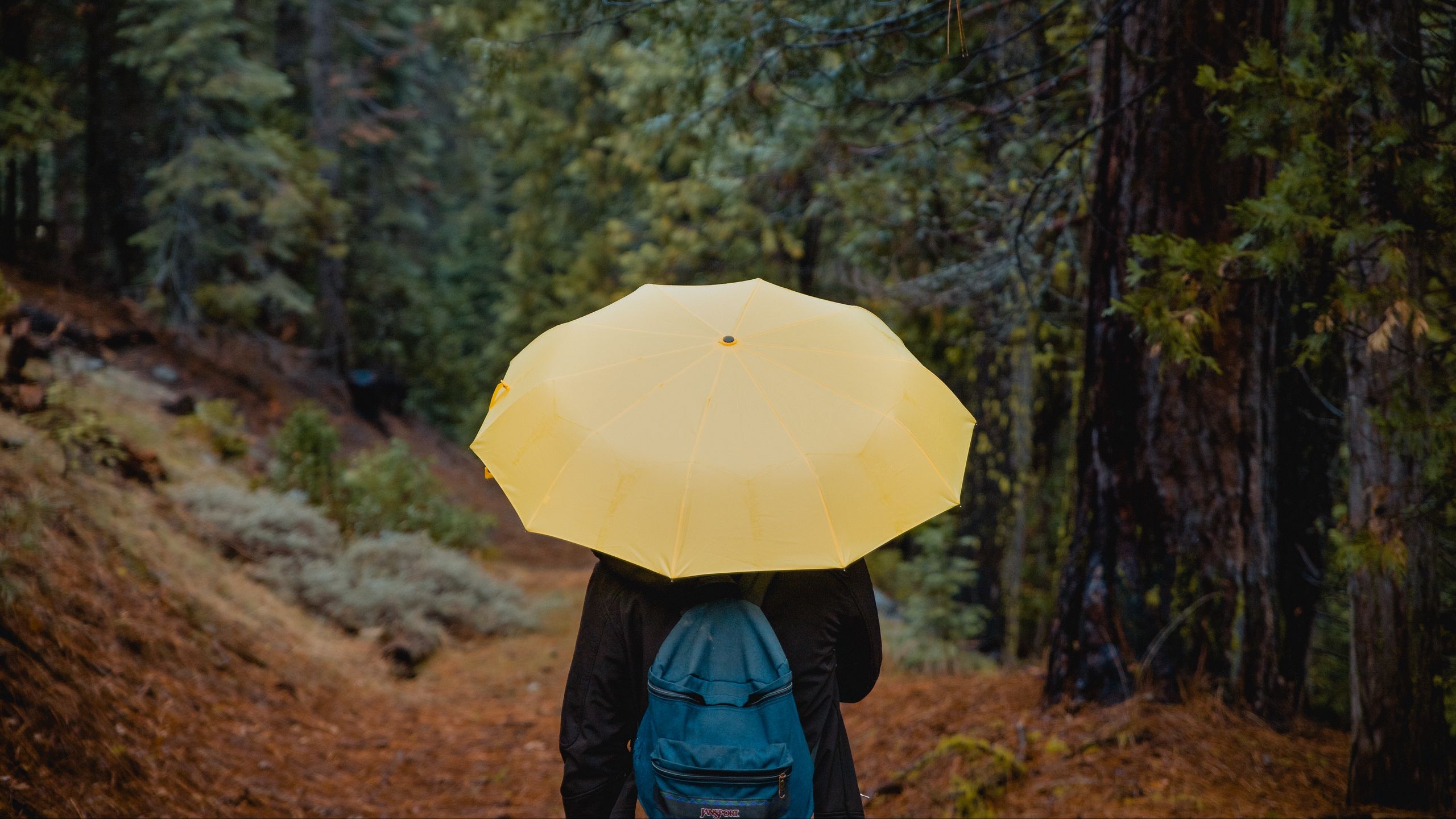 2560x1440 Wallpaper umbrella, person, walk