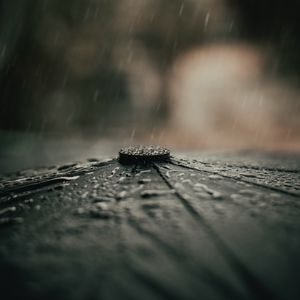 Preview wallpaper umbrella, rain, drops, macro