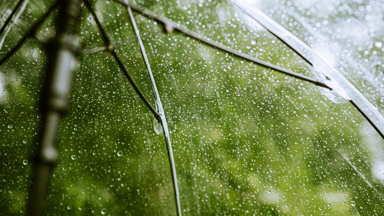 Wallpaper umbrella, rain, drops, transparent