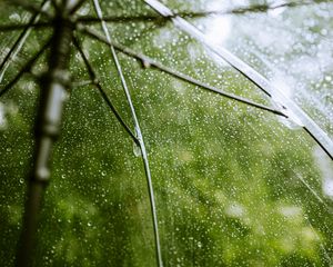 Preview wallpaper umbrella, rain, drops, transparent