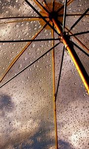 Preview wallpaper umbrella, rain, drops