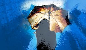 Preview wallpaper umbrella, rain, reflection, puddle