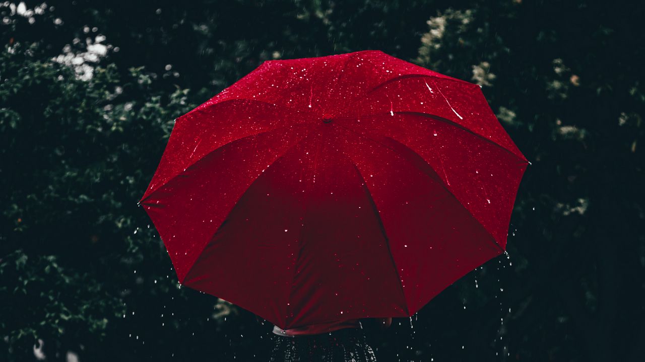 Wallpaper umbrella, red, girl, rain