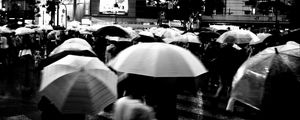 Preview wallpaper umbrellas, street, bw