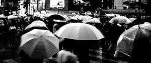 Preview wallpaper umbrellas, street, bw