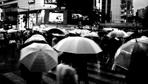 Preview wallpaper umbrellas, street, bw