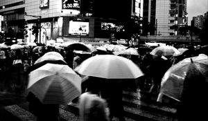 Preview wallpaper umbrellas, street, bw