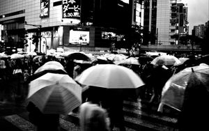 Preview wallpaper umbrellas, street, bw