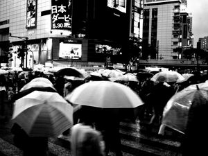 Preview wallpaper umbrellas, street, bw