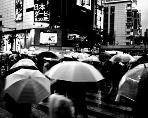 Preview wallpaper umbrellas, street, bw