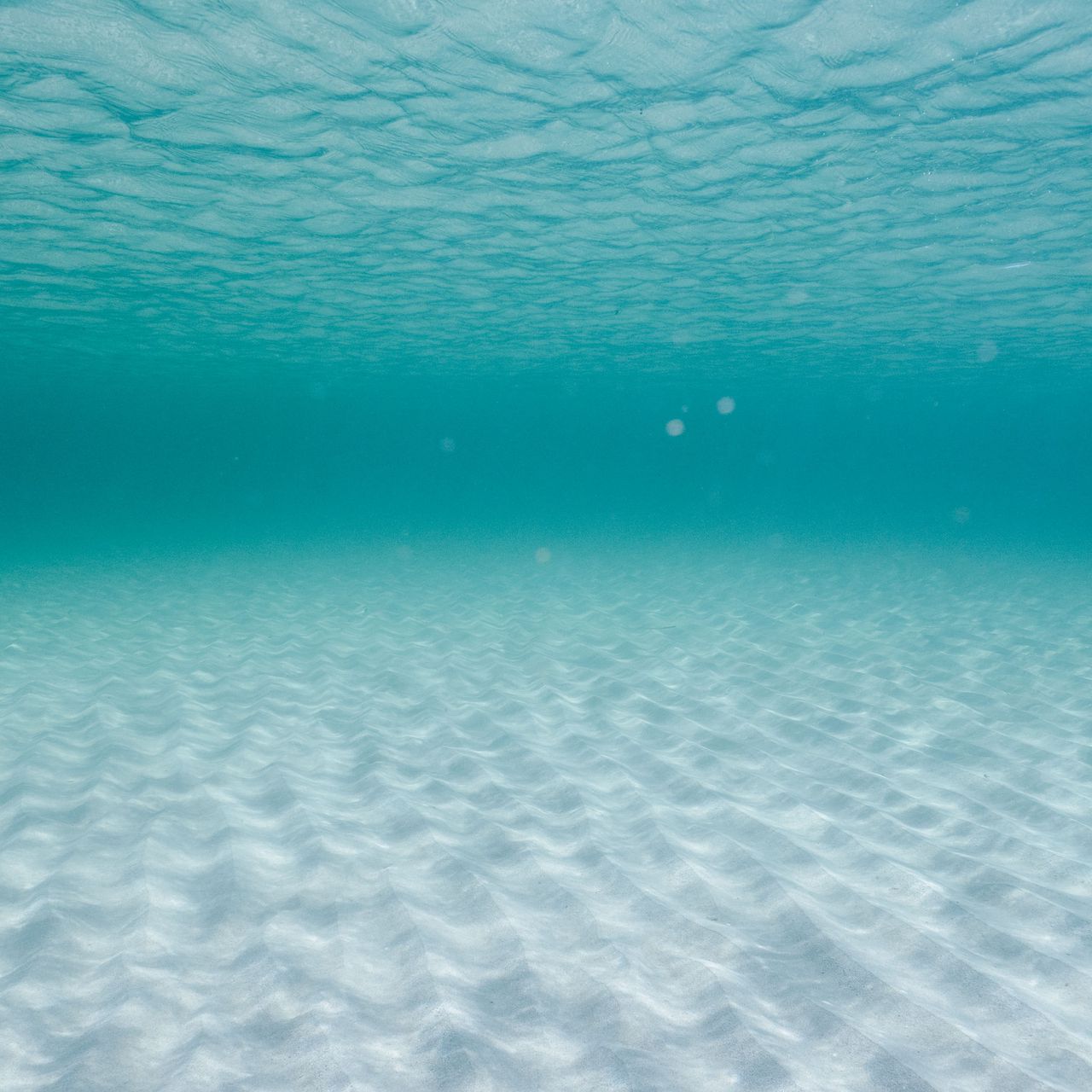 1280x1280 Wallpaper under water, sand, ripples, depth