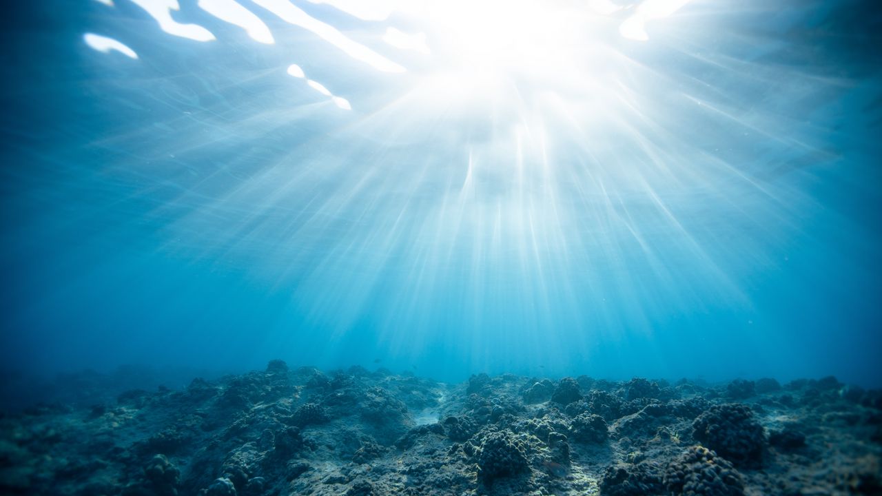 Wallpaper underwater world, ocean, corals, light