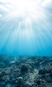 Preview wallpaper underwater world, ocean, corals, light