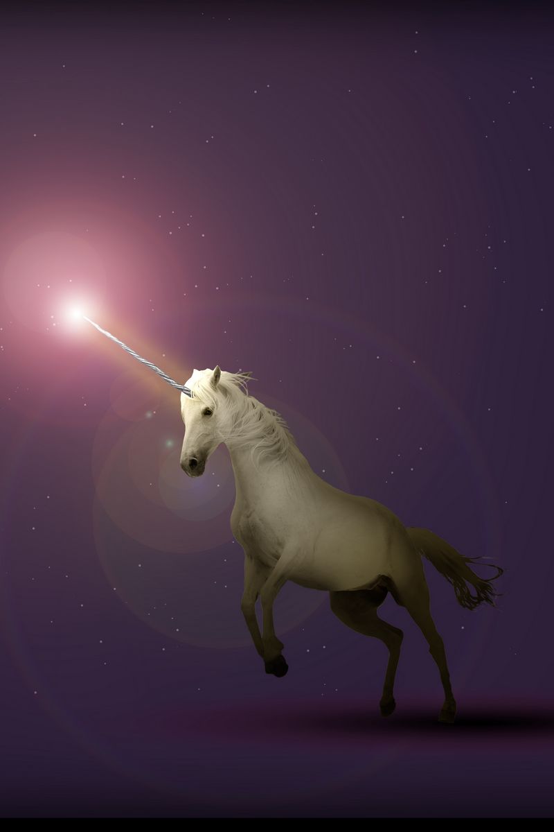 Download wallpaper 800x1200 unicorn, art, starry sky, fantasy iphone 4s/4  for parallax hd background