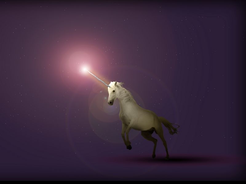 800x600 Wallpaper unicorn, art, starry sky, fantasy