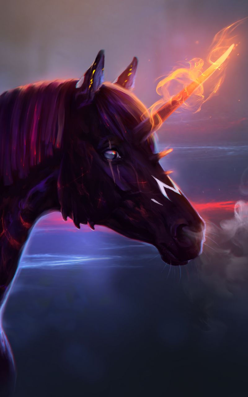 800x1280 Wallpaper unicorn, horse, art, fire