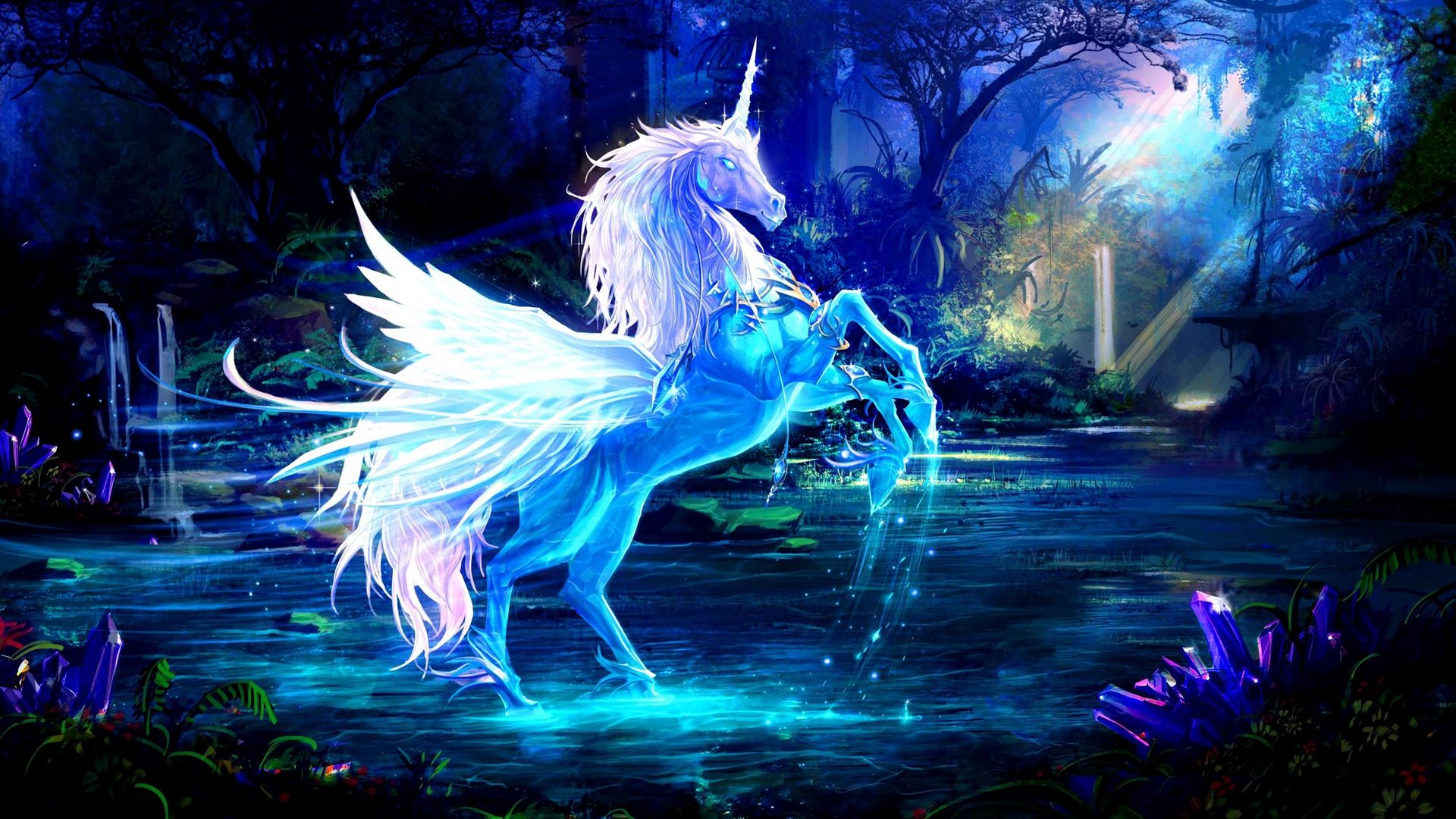 1920x1080 Wallpaper unicorn, water, forest, night, magic