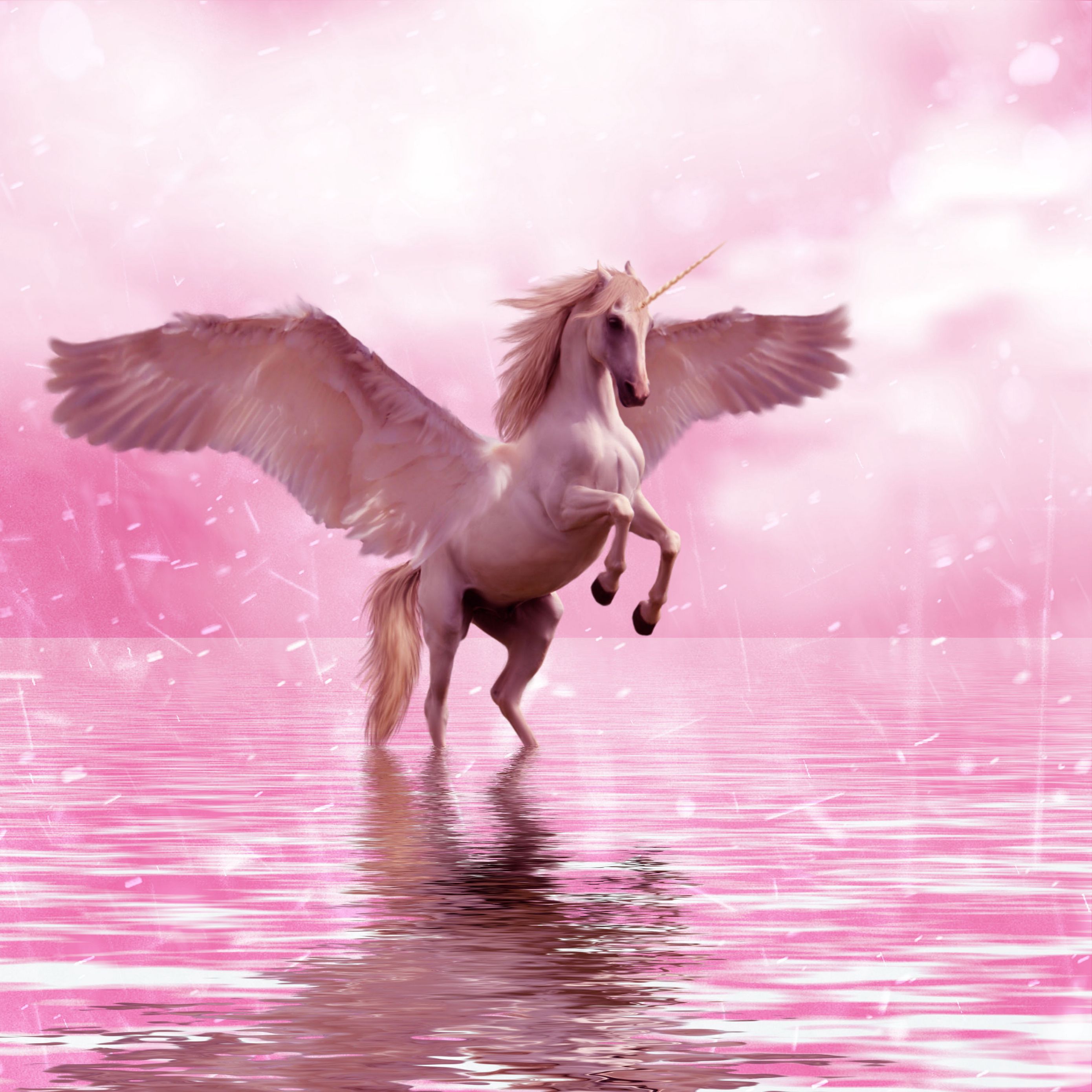 2780x2780 Wallpaper unicorn, wings, horse, fantasy