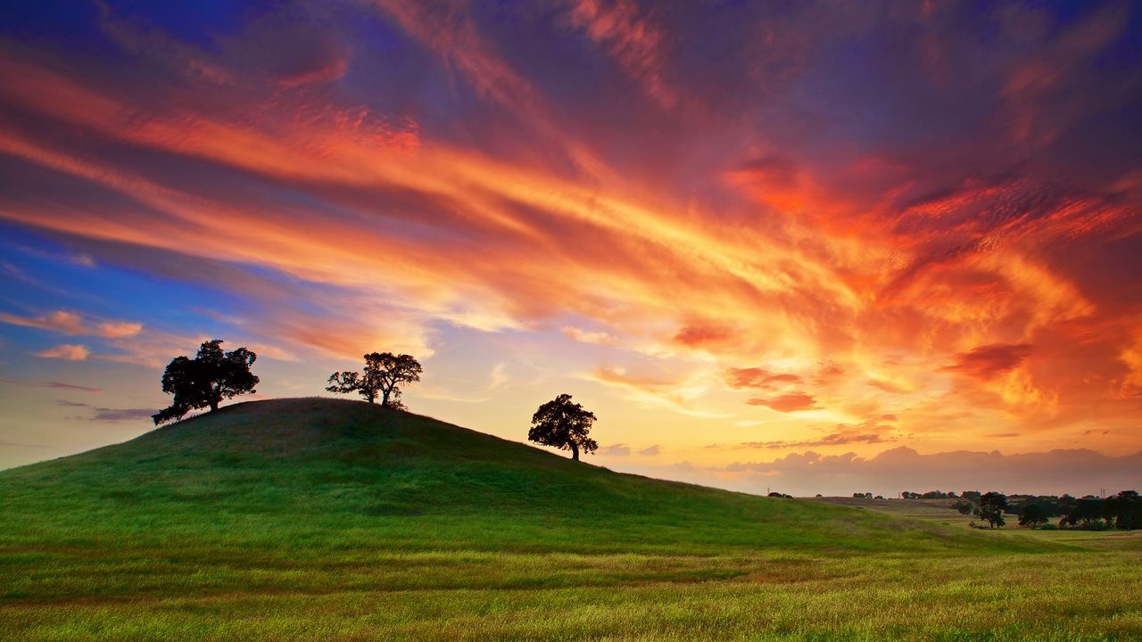 Wallpaper usa, california, sunset, spring, may, sky, clouds, field, grass, trees