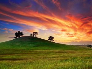 Preview wallpaper usa, california, sunset, spring, may, sky, clouds, field, grass, trees