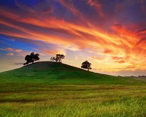 Preview wallpaper usa, california, sunset, spring, may, sky, clouds, field, grass, trees