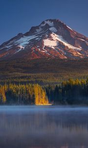 Preview wallpaper usa, oregon, mount hood, trillium, mountains