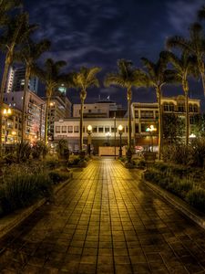 Preview wallpaper usa, san diego, california, trees, palms, night, pavement, hdr