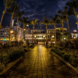 Preview wallpaper usa, san diego, california, trees, palms, night, pavement, hdr