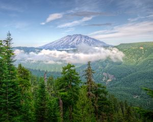 Preview wallpaper usa, washington, mountains, trees, fog, hdr