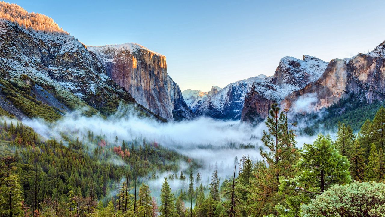 Wallpaper usa, yosemite national park, california, mountains, fog, trees