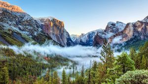 Preview wallpaper usa, yosemite national park, california, mountains, fog, trees