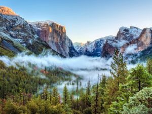 Preview wallpaper usa, yosemite national park, california, mountains, fog, trees