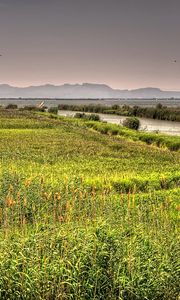 Preview wallpaper valencia, spain, river, lake, grass, landscape