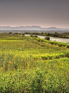 Preview wallpaper valencia, spain, river, lake, grass, landscape