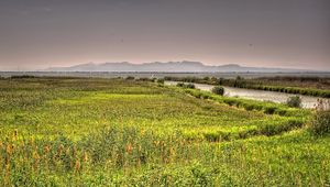 Preview wallpaper valencia, spain, river, lake, grass, landscape