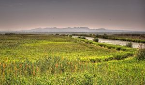 Preview wallpaper valencia, spain, river, lake, grass, landscape