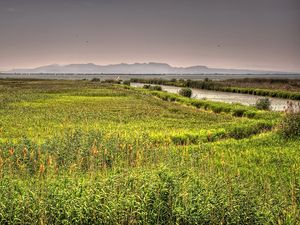 Preview wallpaper valencia, spain, river, lake, grass, landscape