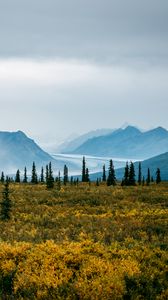 Preview wallpaper valley, bushes, landscape, trees, mountains