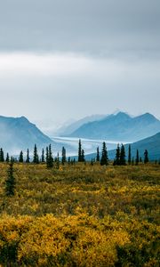 Preview wallpaper valley, bushes, landscape, trees, mountains