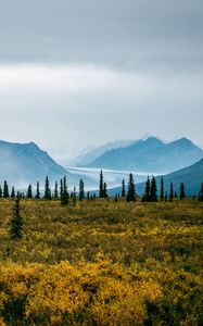 Preview wallpaper valley, bushes, landscape, trees, mountains