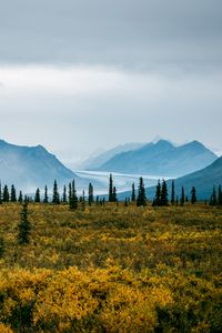 Preview wallpaper valley, bushes, landscape, trees, mountains